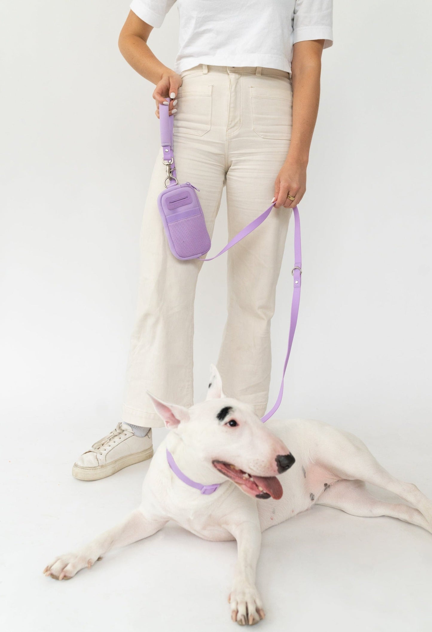 The Dog Walk Bag with Leash