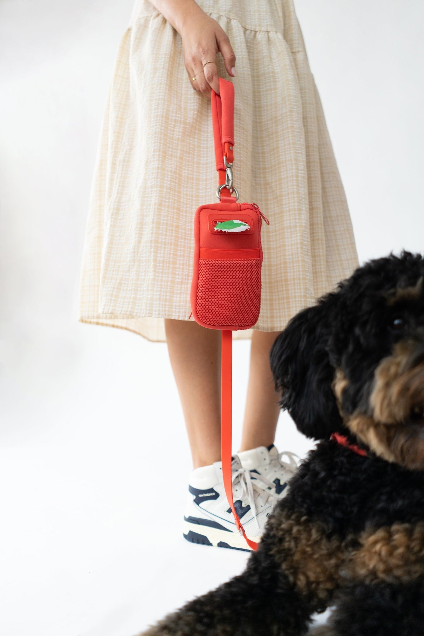 The Dog Walk Bag with Leash