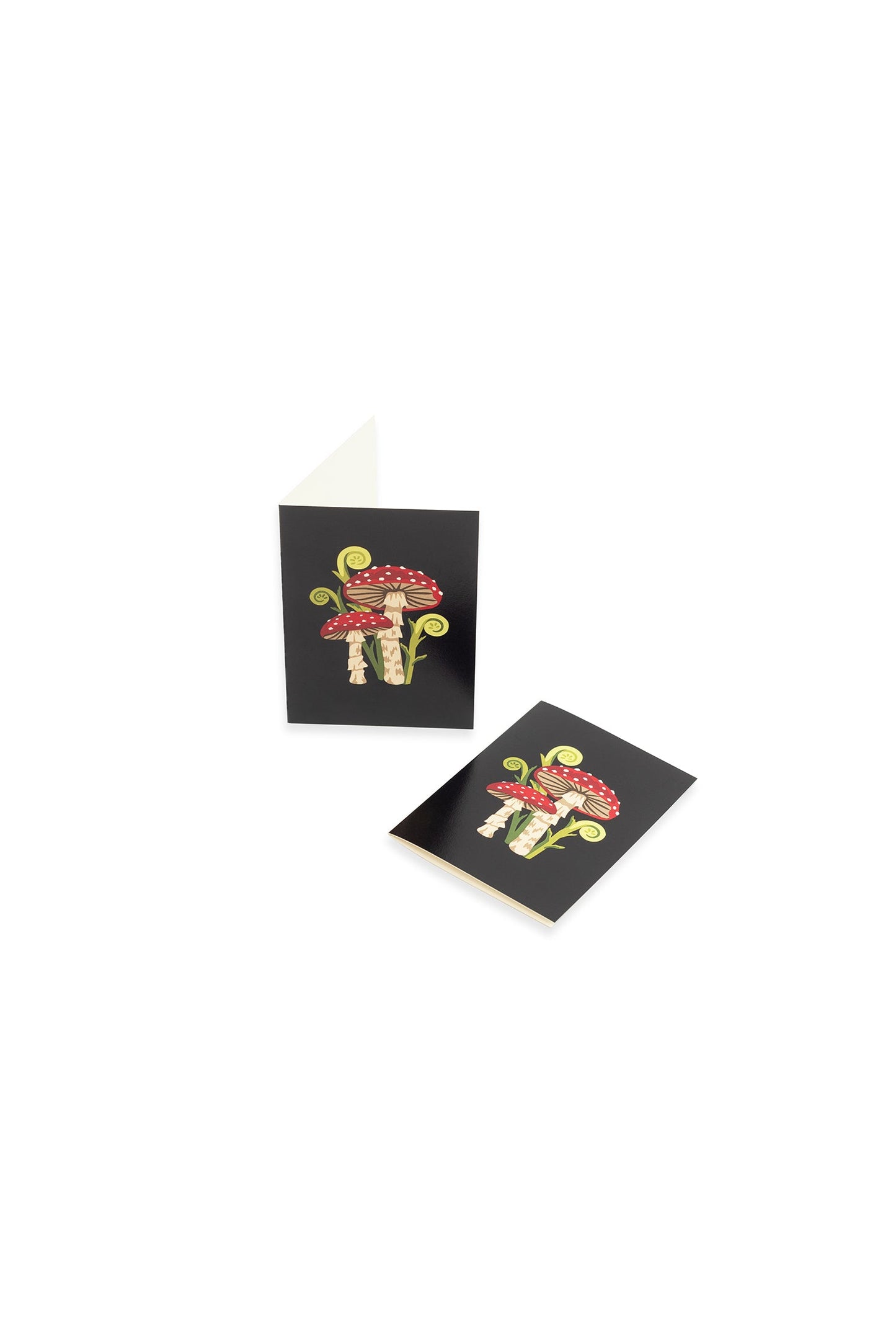Mushrooms Mini Card Set