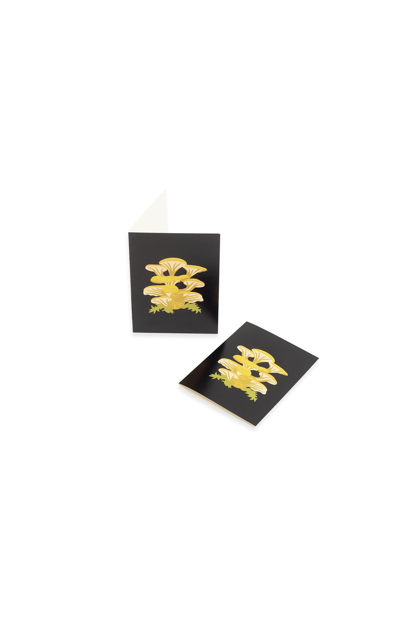 Mushrooms Mini Card Set