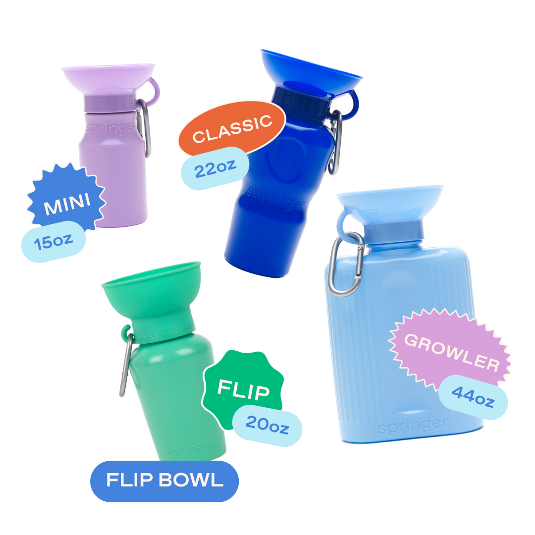 20oz Flip Springer Dog Travel Water Bottle