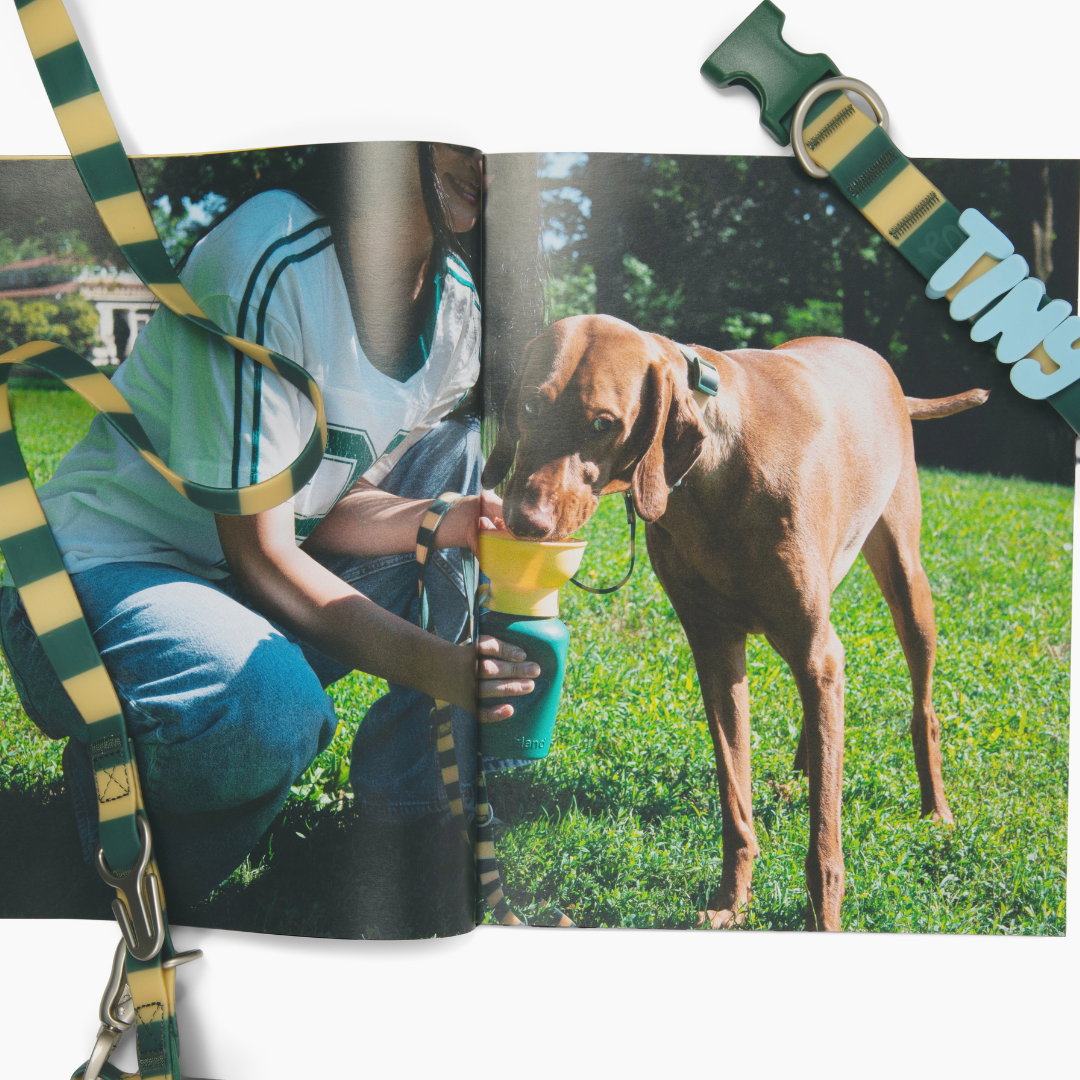 20oz Flip Springer Dog Travel Water Bottle