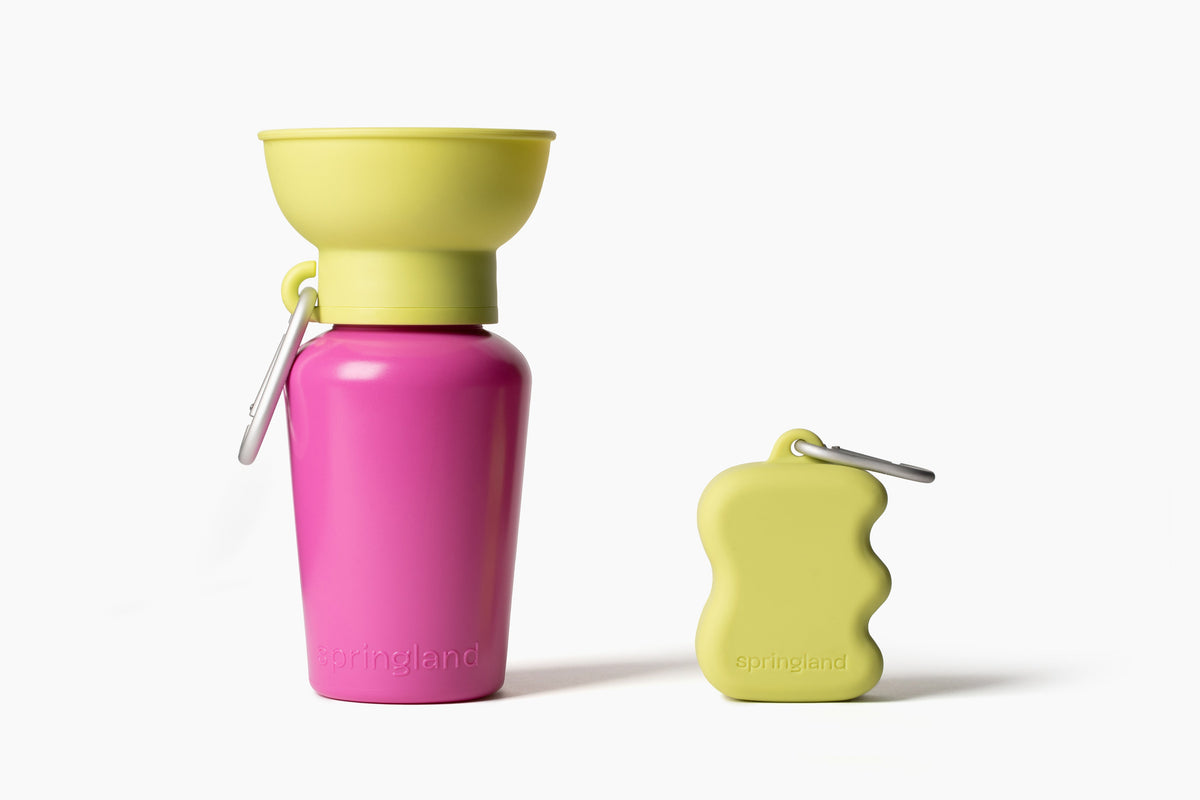 The Silicone Dog Treat Dispenser