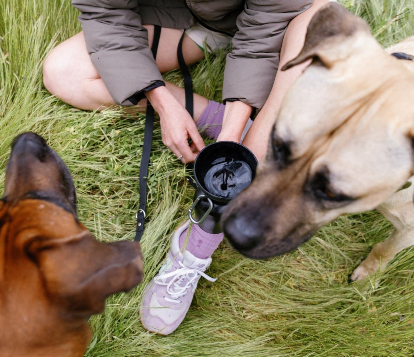 20oz Flip Springer Dog Travel Water Bottle