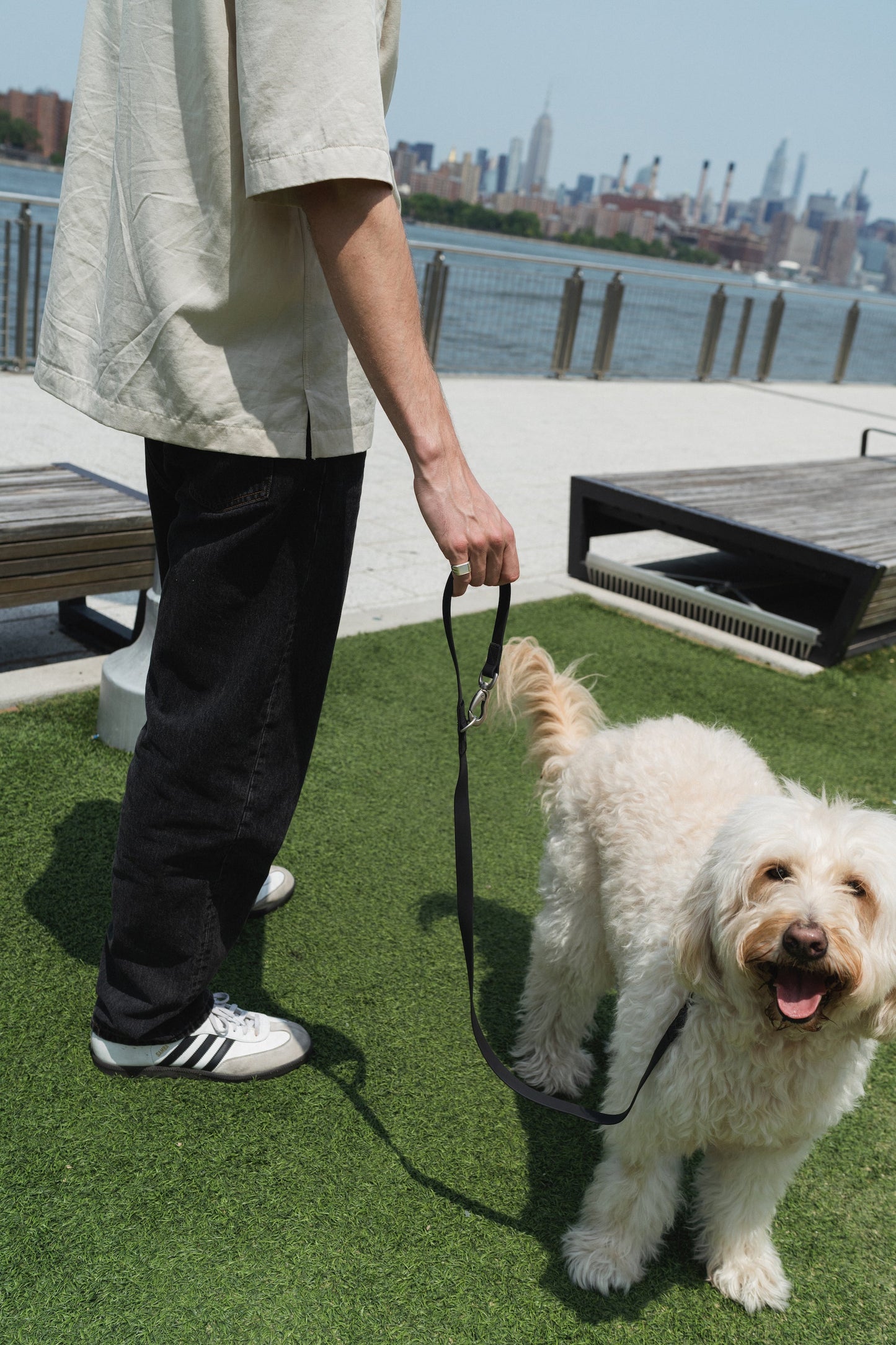 The City Dog Leash