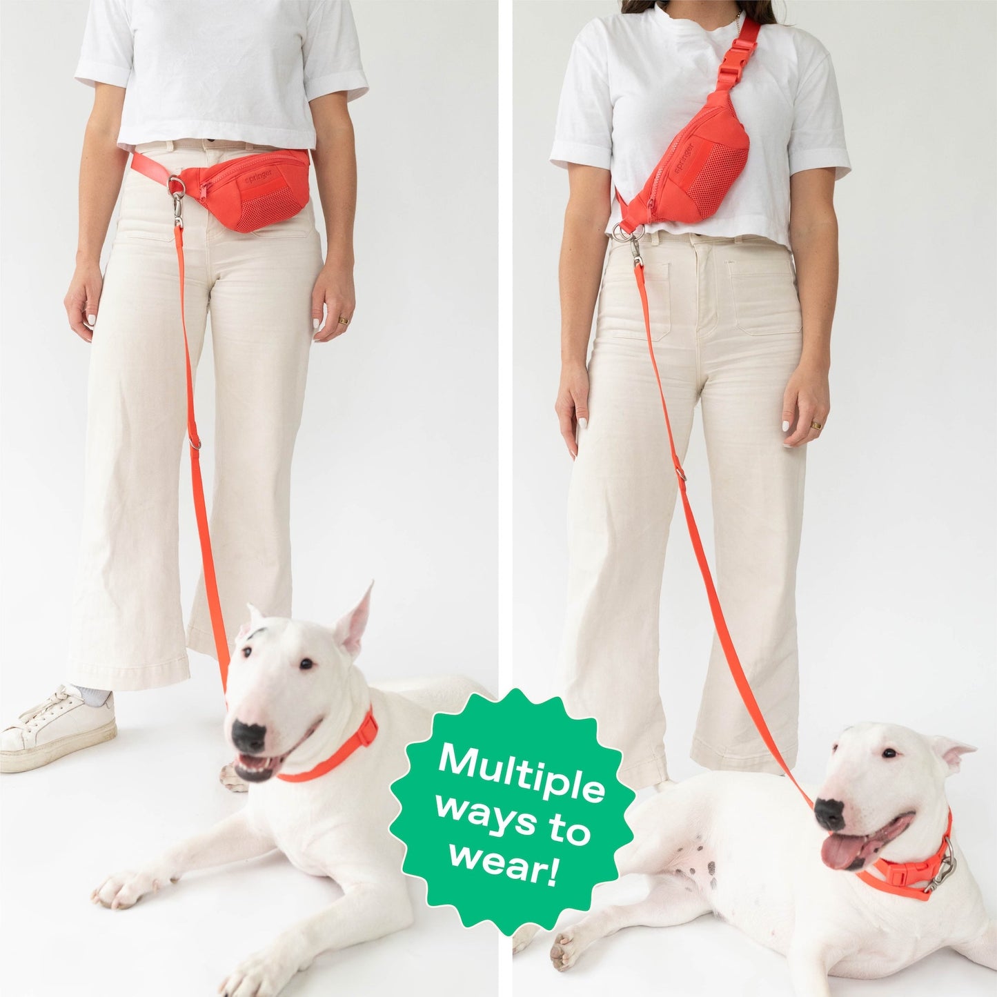 The Hands-Free Dog Sling Bag with Leash