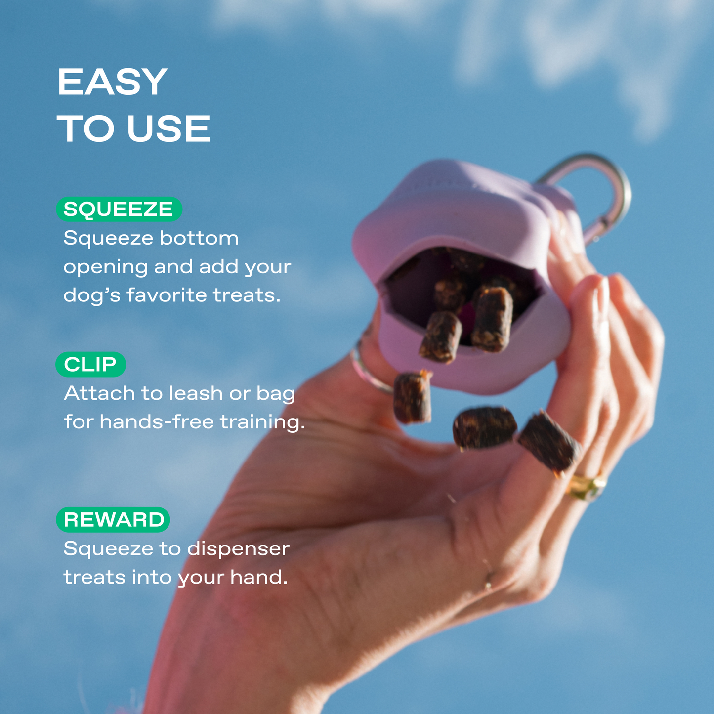 The Silicone Dog Treat Dispenser