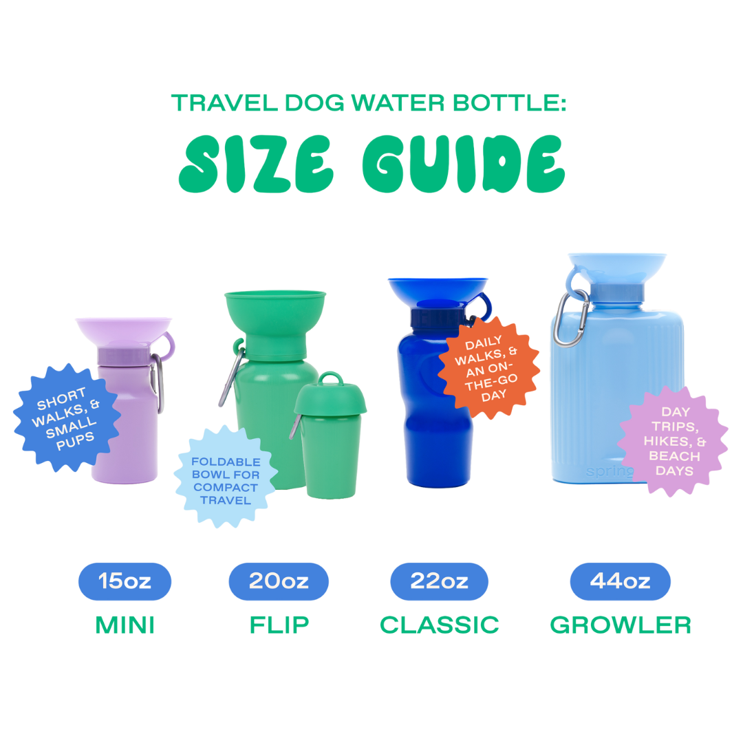 20oz Flip Springer Dog Travel Water Bottle