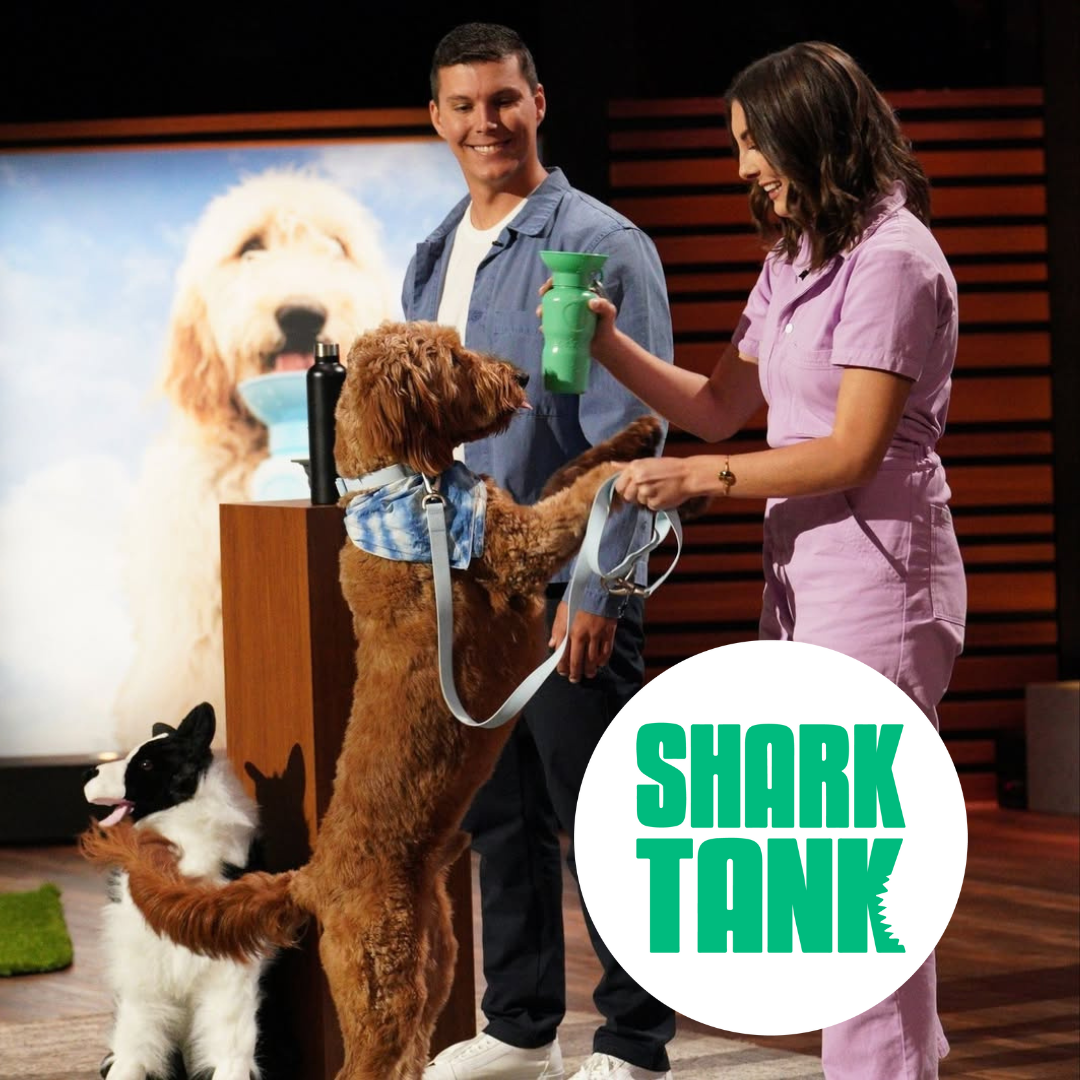 22oz Original Springer Dog Travel Water Bottle