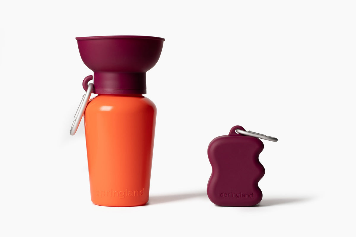 The Silicone Dog Treat Dispenser