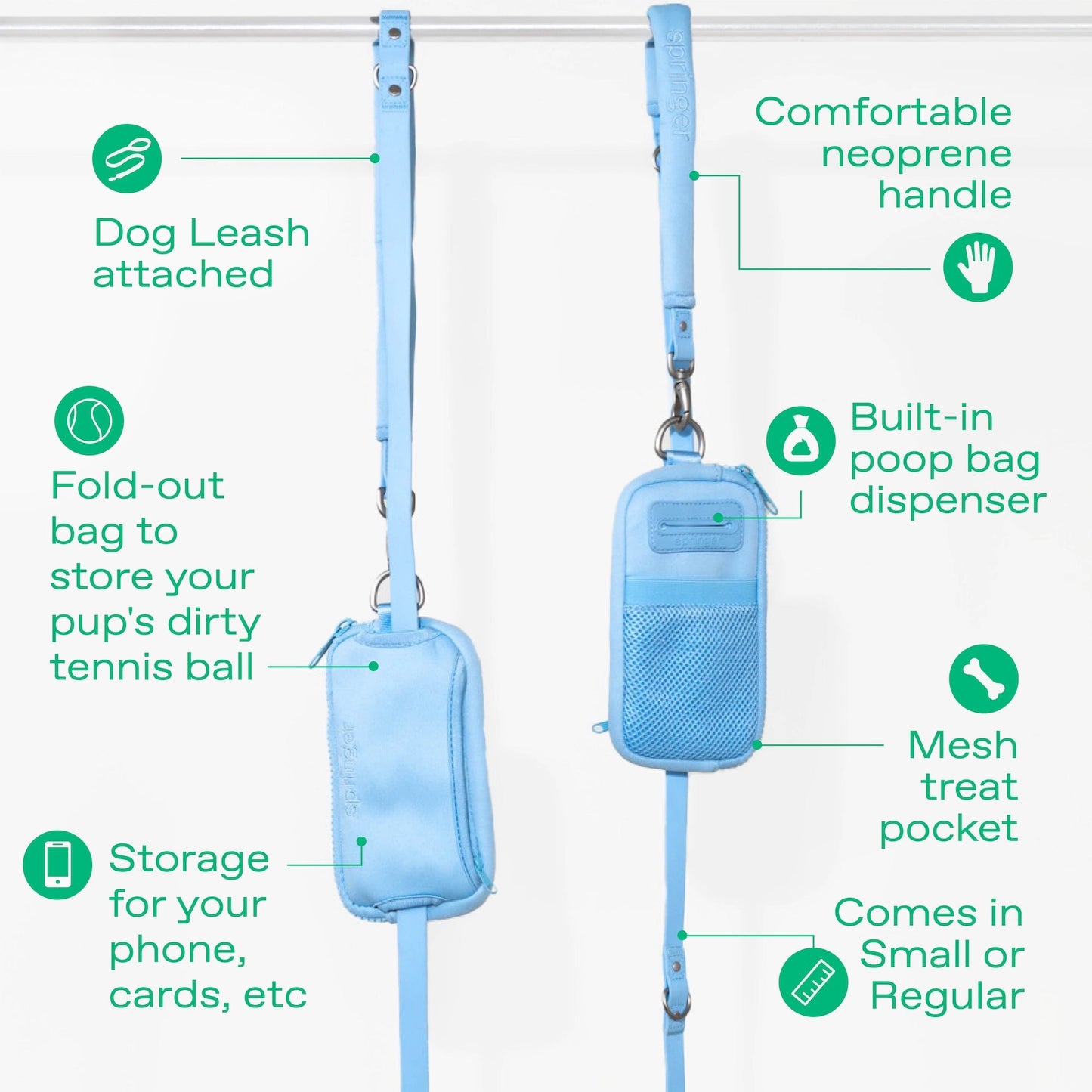 The Dog Walk Bag with Leash