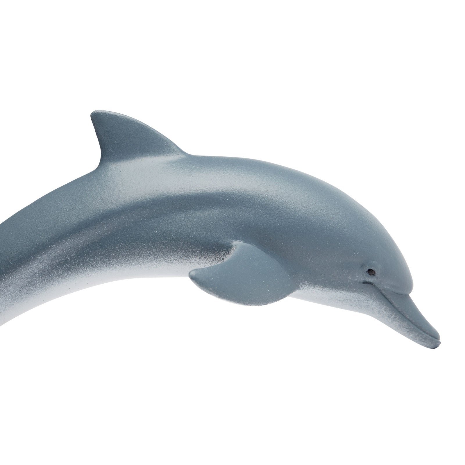 Safari Ltd Dolphin figurine top view