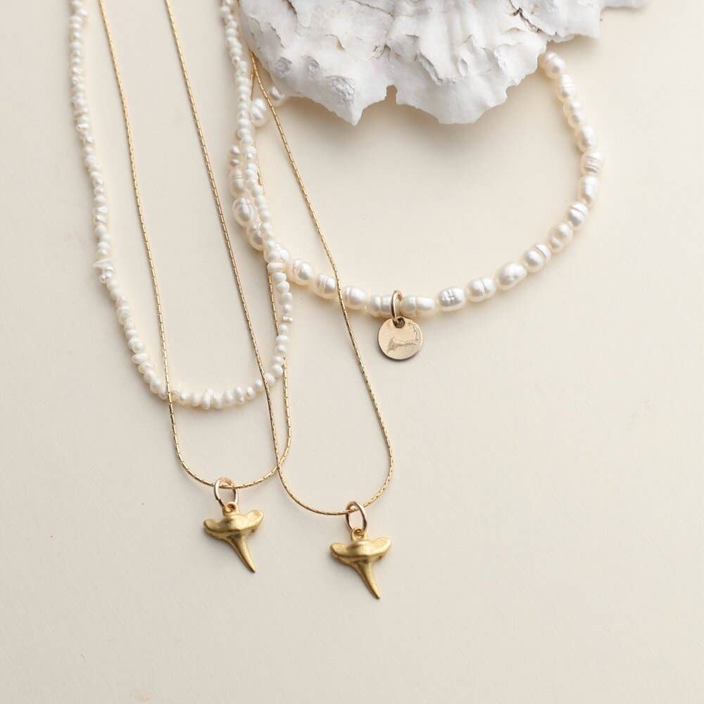 Cape Cod Jaws Shark Tooth Necklace: Surf Steel