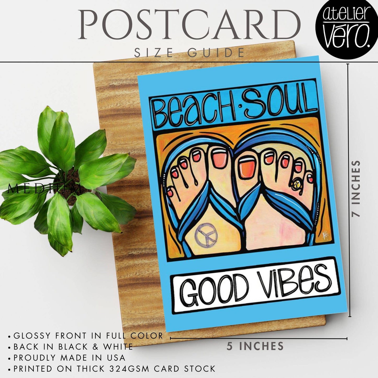 Cape Cod Lobster Postcard – Just Chillin’ – Massachusetts