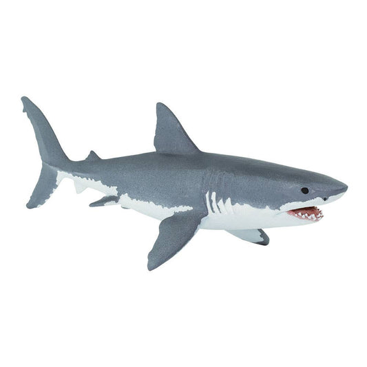Great White Shark - 200729