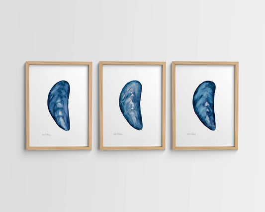 Mussel Shell Singles, Watercolor