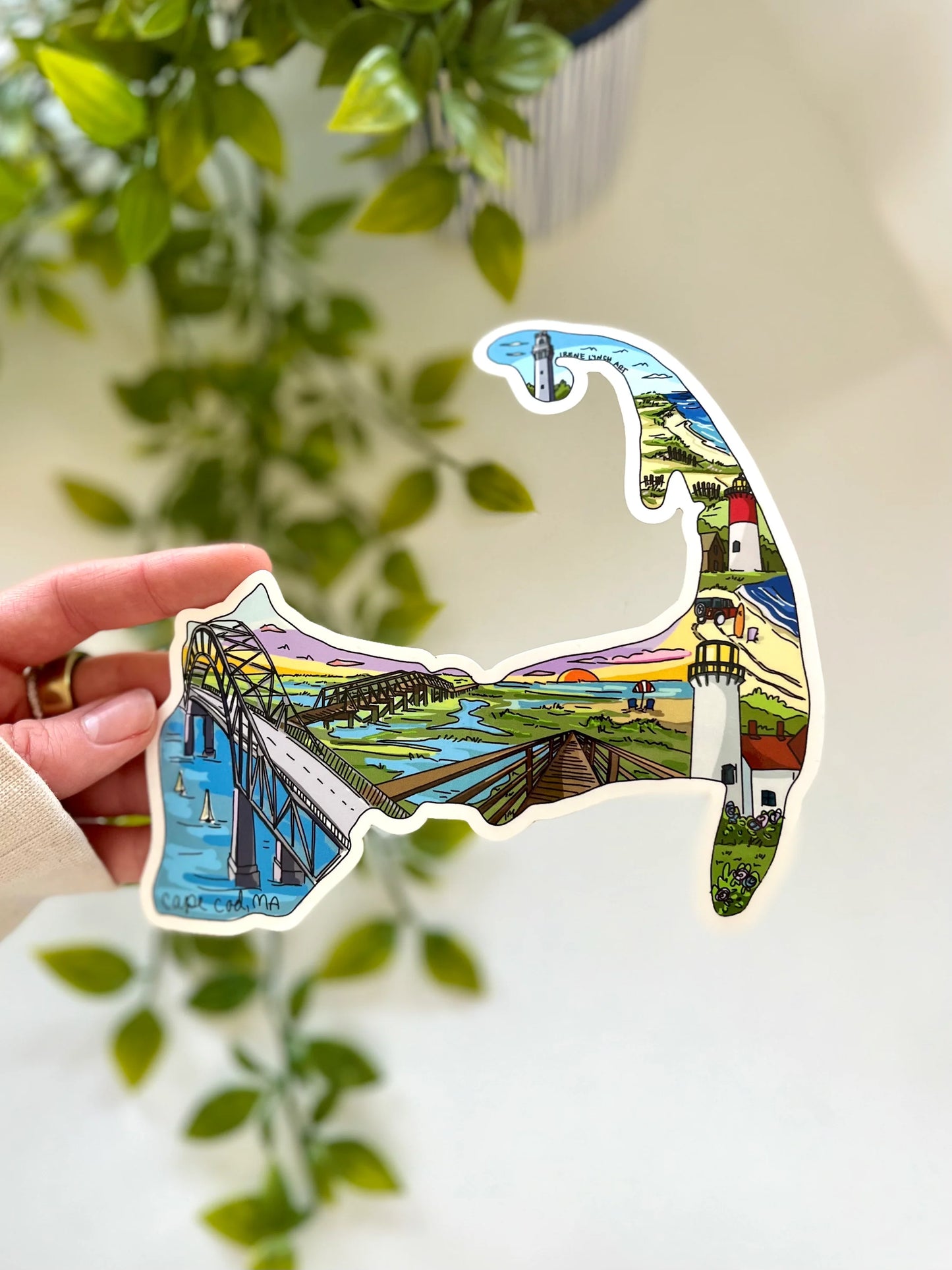 Cape Cod Map Sticker