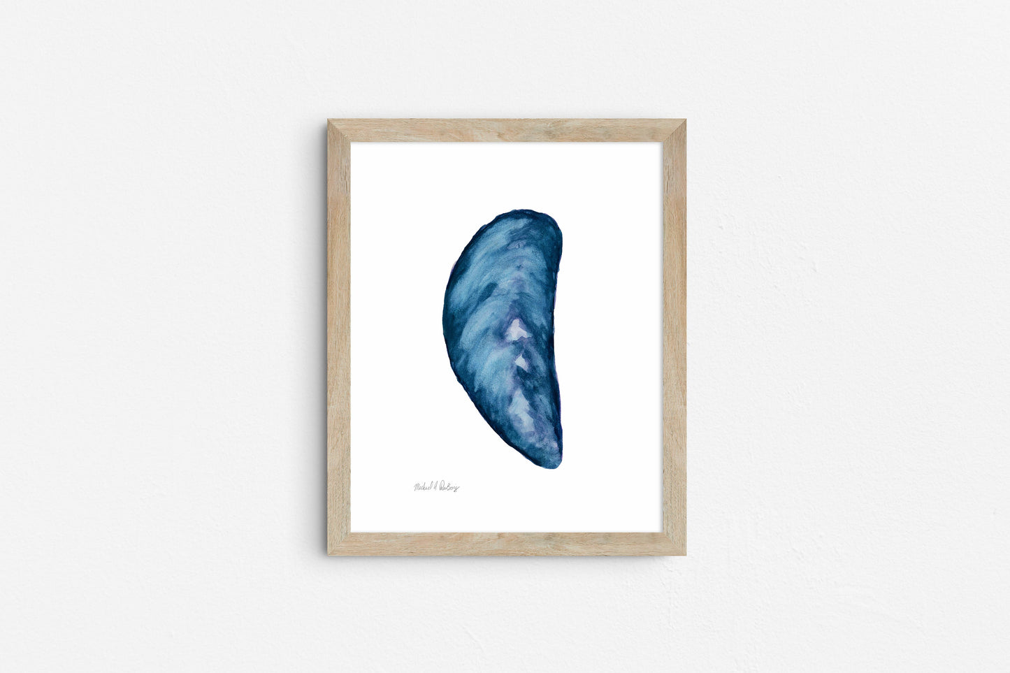 Mussel Shell Singles, Watercolor