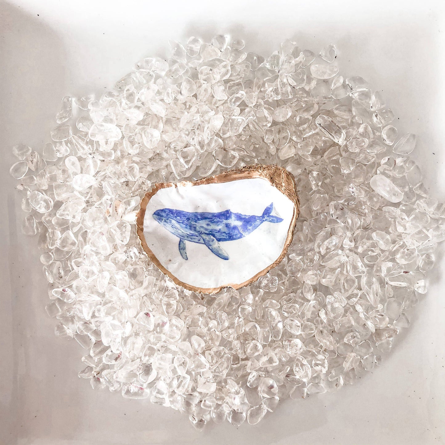 Whale Oyster Shell Trinket Dish