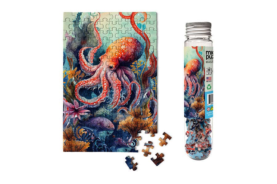 Octopus - Marine Life