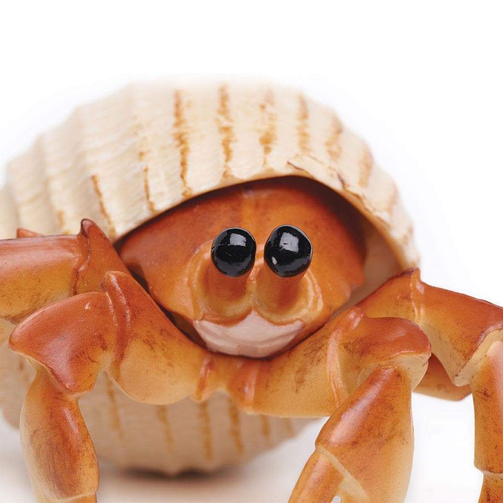 Safari Ltd Hermit Crab figurine angle view