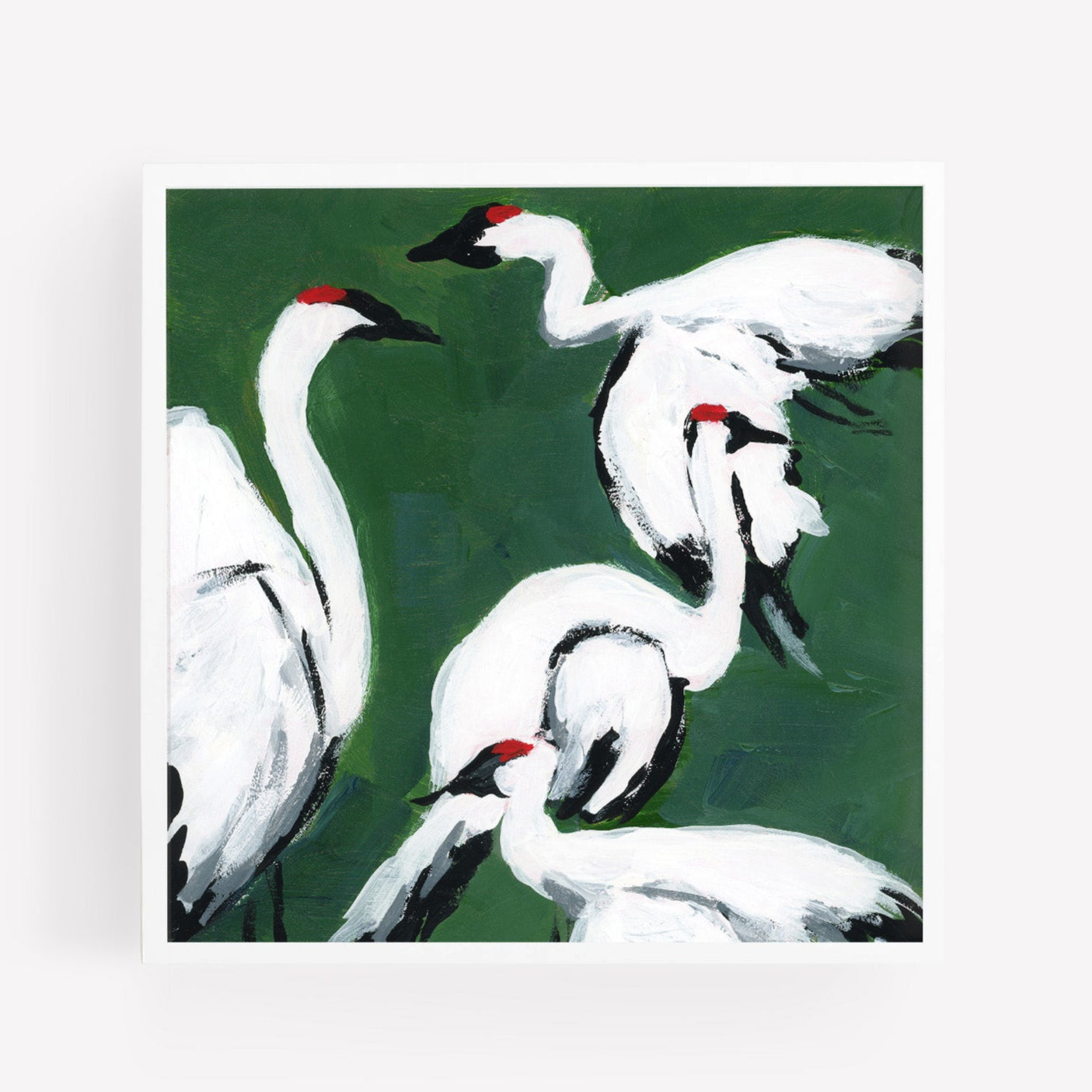 Sandhill Crane Grouping, Jade, Fine Art Print