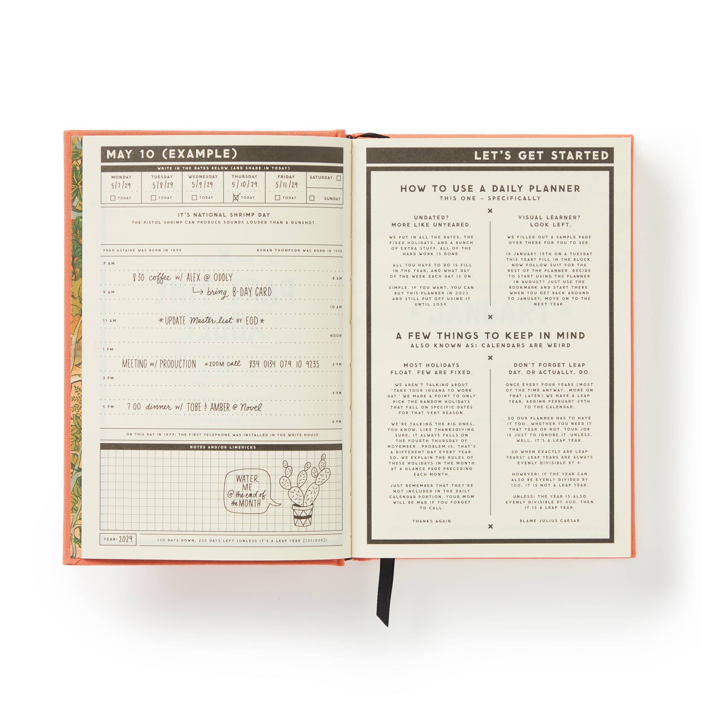 Brass Monkey Part-Time Adult Undated Daily Planner