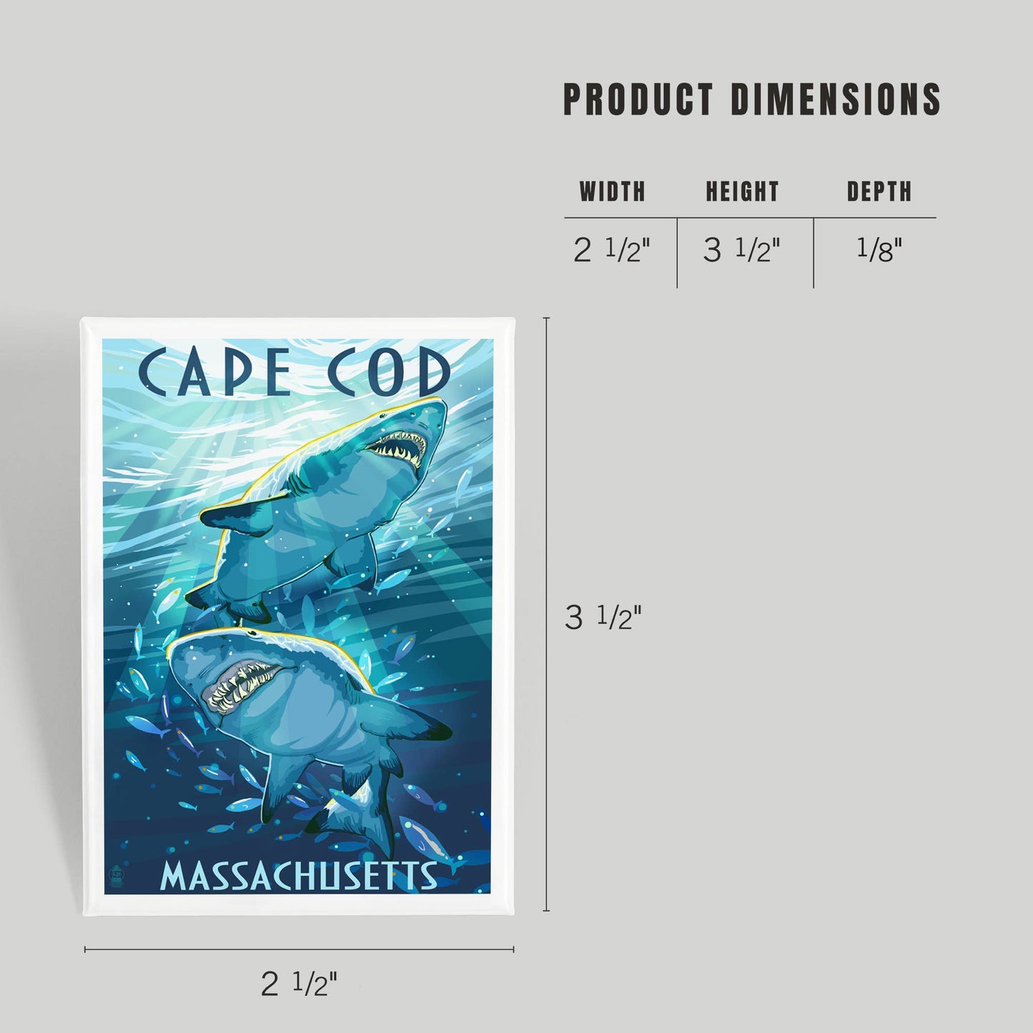 MAGNET Cape Cod, Massachusetts Great White Sharks: Magnet