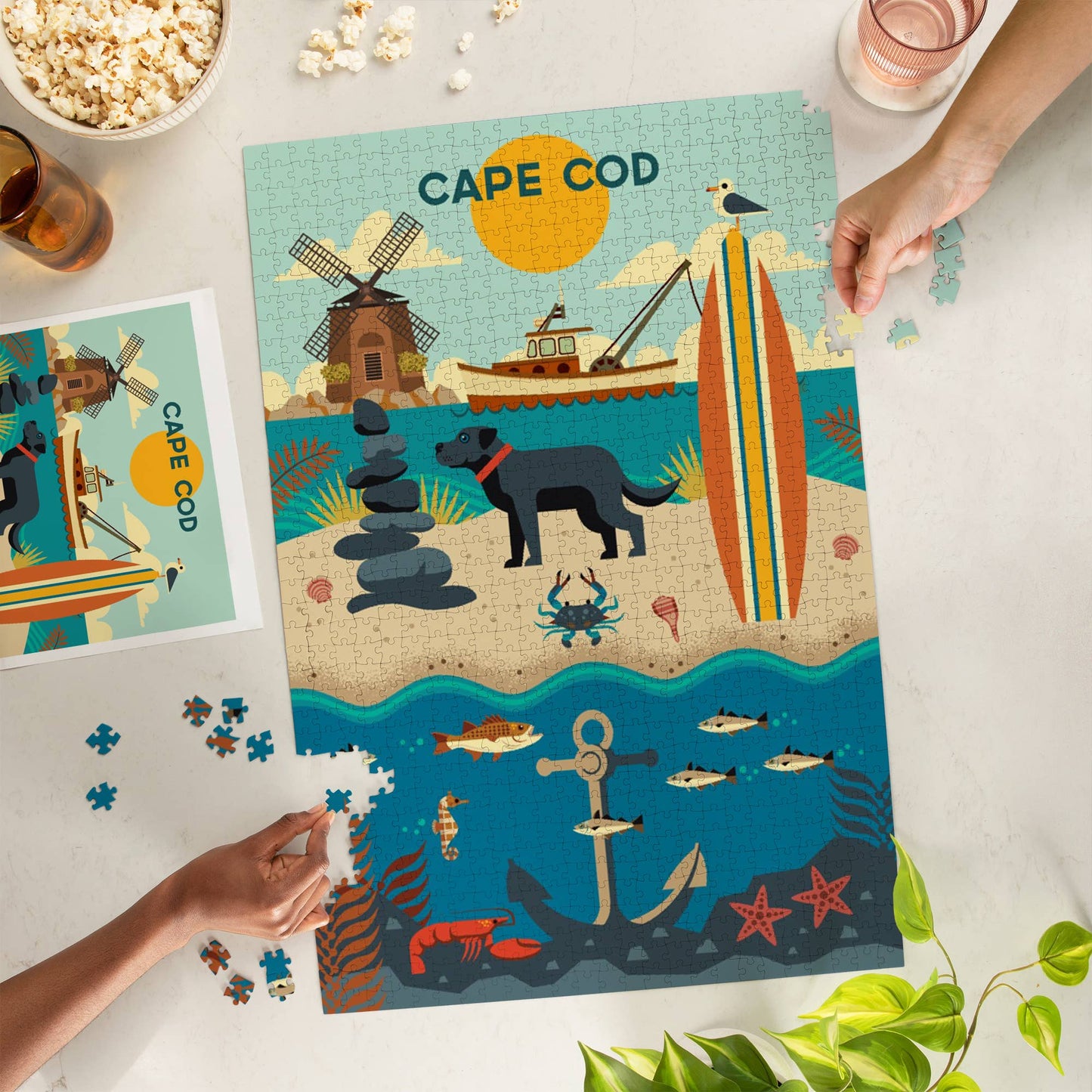 1000 PIECE PUZZLE Cape Cod, Beach Geometric