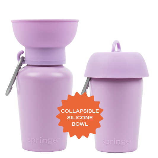 Lilac Dog Travel Water Bottle, 20oz, Flip Silicone