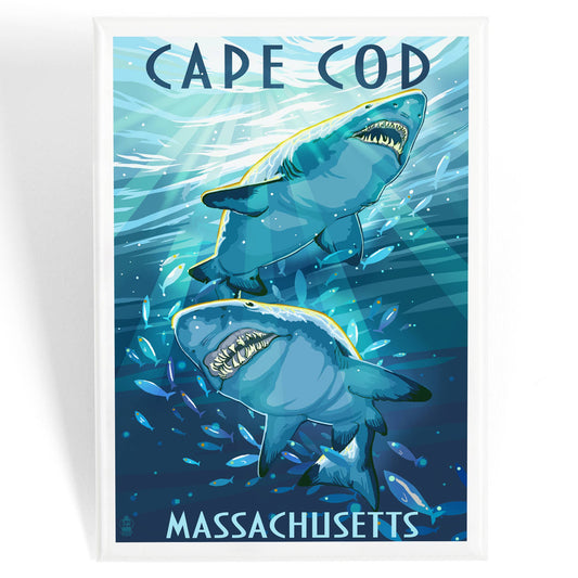 MAGNET Cape Cod, Massachusetts Great White Sharks: Magnet