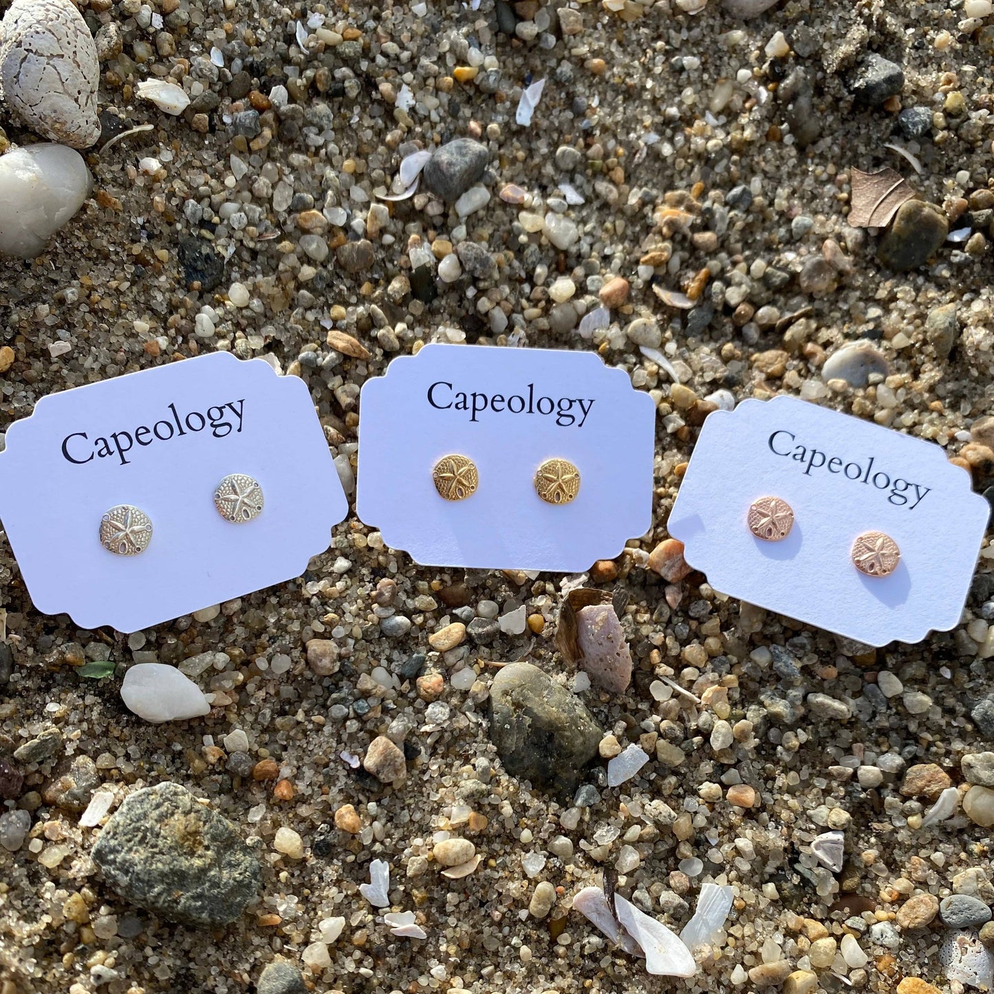Sand Dollar Earrings: Gold