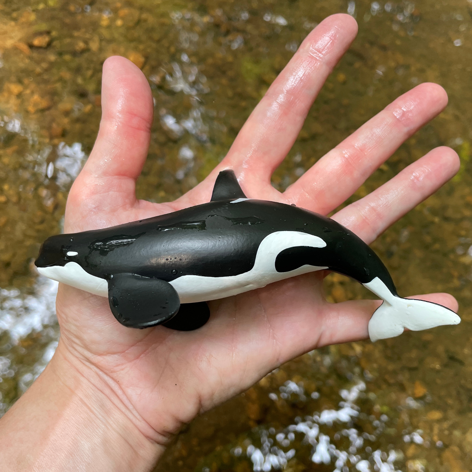Wild Safari Sea Life Type D Orca figurine - view 8