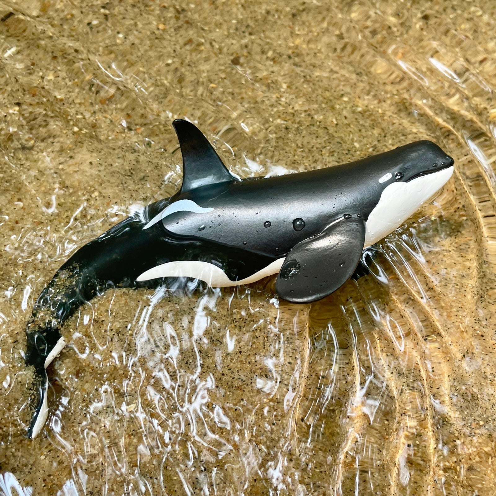 Wild Safari Sea Life Type D Orca figurine - view 9