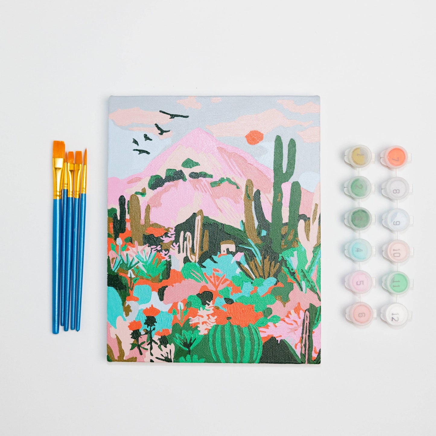 Cactus Desert by Hebe Studio Paint by Numbers Mini