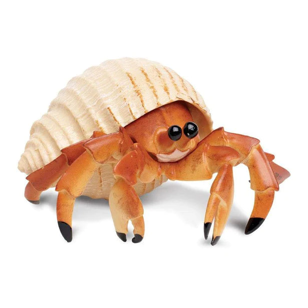 Sea Life